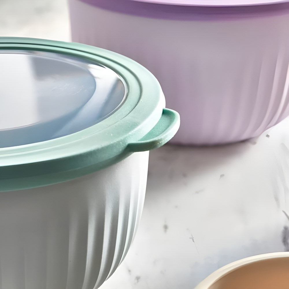 Plastic Bowl with see-through Lid Set (4 Pcs) | Full House Lebanon