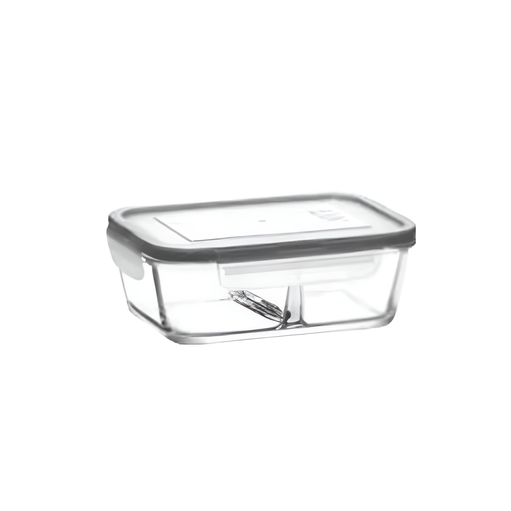 Lav Fresco Divided Food Container | Full House Lebanon