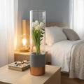 Modern Glass Vase