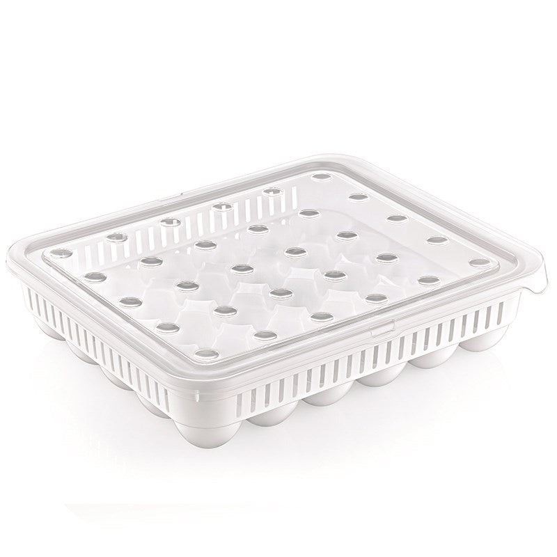 30-Egg Plastic Box | Full House Lebanon