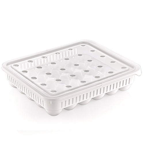 30-Egg Plastic Box | Full House Lebanon