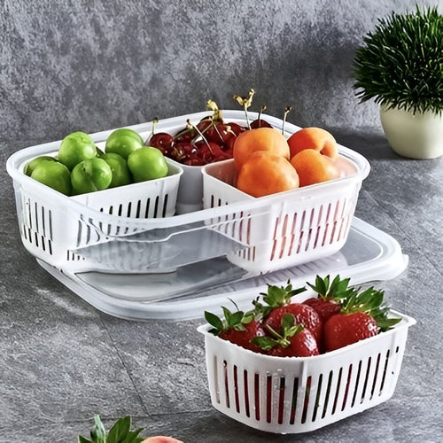 4-Compartment Storage Container with Drain Baskets | Full House Lebanon