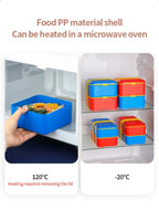 2-tiers Super Fun Lunch Boxes with a Spoon/Fork | Full House Lebanon