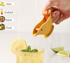 Bird Shaped Lemon Squeezer | Full House Lebanon