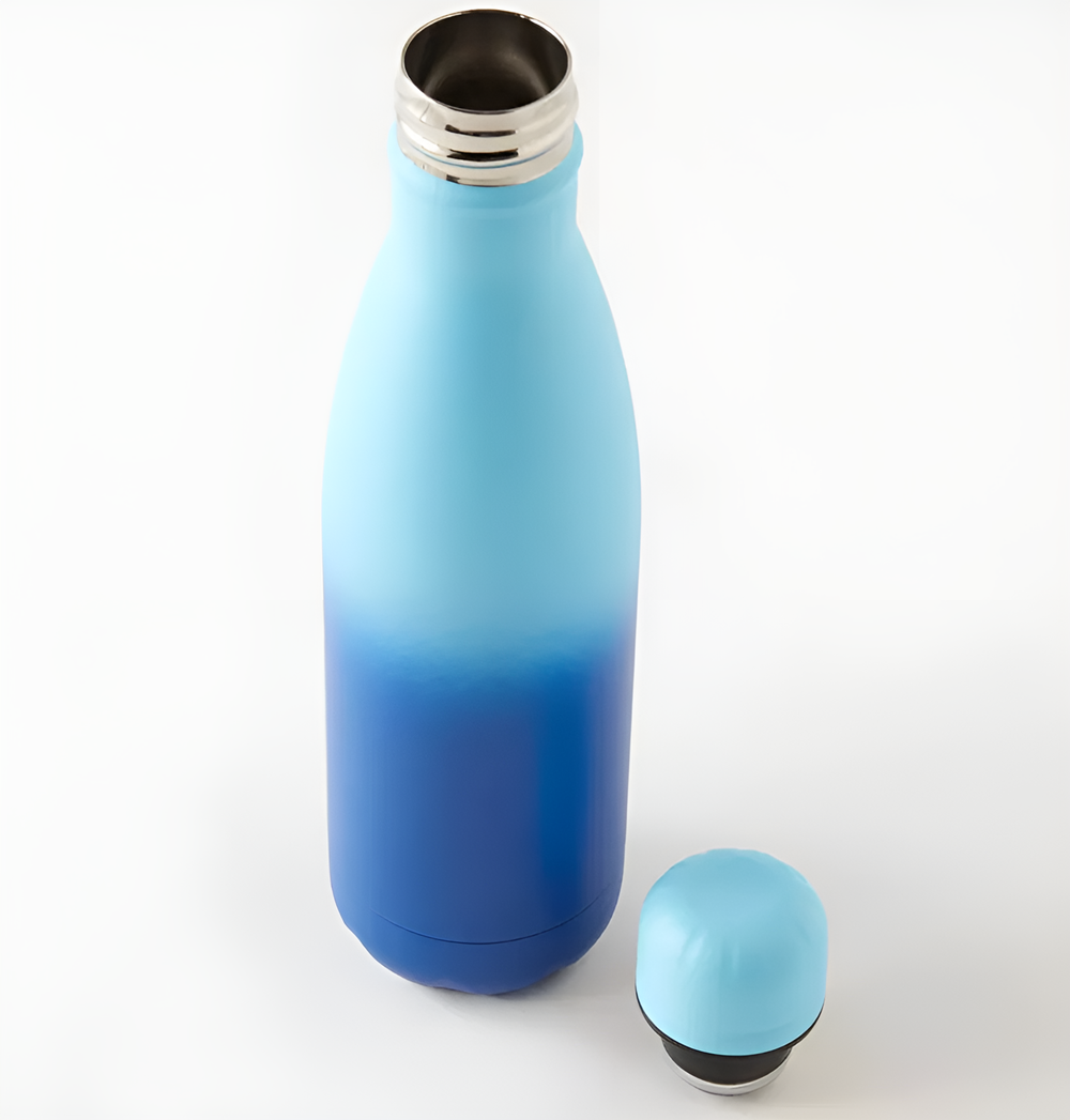 Two-Tone Insulated Bottle | Full House Lebanon