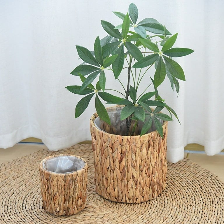 Woven Rattan Plant Basket Set (4 Pcs) | Full House Lebanon