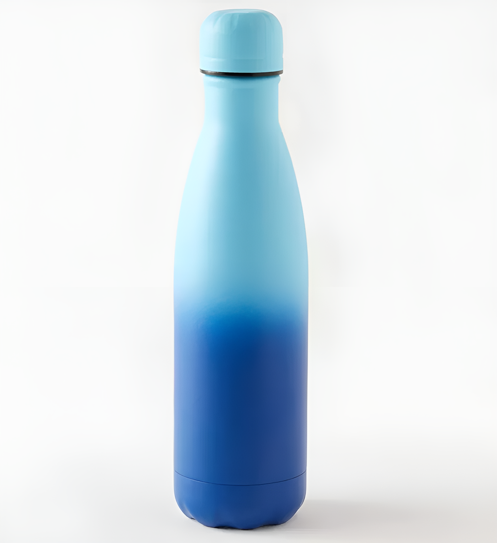 Two-Tone Insulated Bottle - DarkPurple | Full House Lebanon