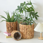 Woven Rattan Plant Basket Set (4 Pcs) | Full House Lebanon