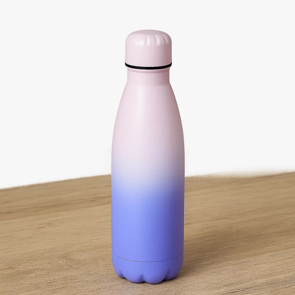 Two-Tone Insulated Bottle | Full House Lebanon