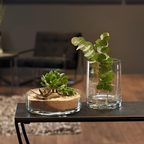 Glass Bowl | Full House Lebanon