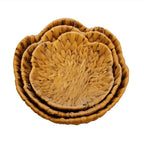 Handwoven Round Rattan Basket Set (3 Pcs) | Full House Lebanon