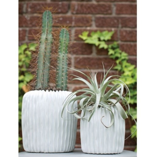 Concrete Plant Pot | Full House Lebanon