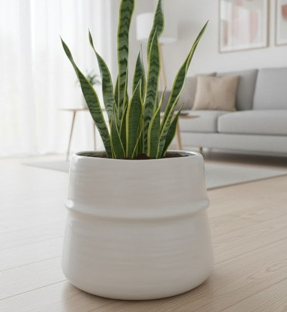 White Ceramic Plant Pot | Full House Lebanon