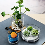 Glass Bowl - Medium | Full House Lebanon